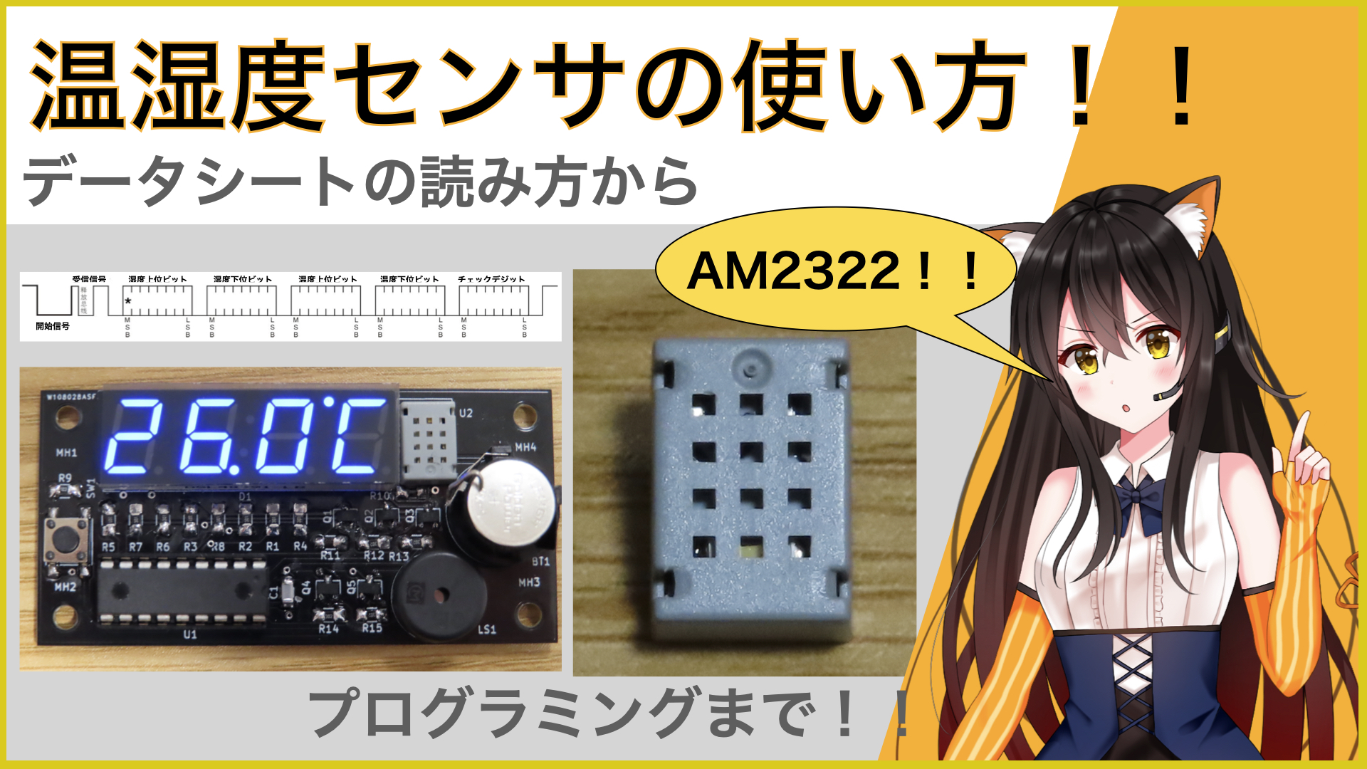 Am2322温湿度センサの使い方 シナモン 黒猫師匠